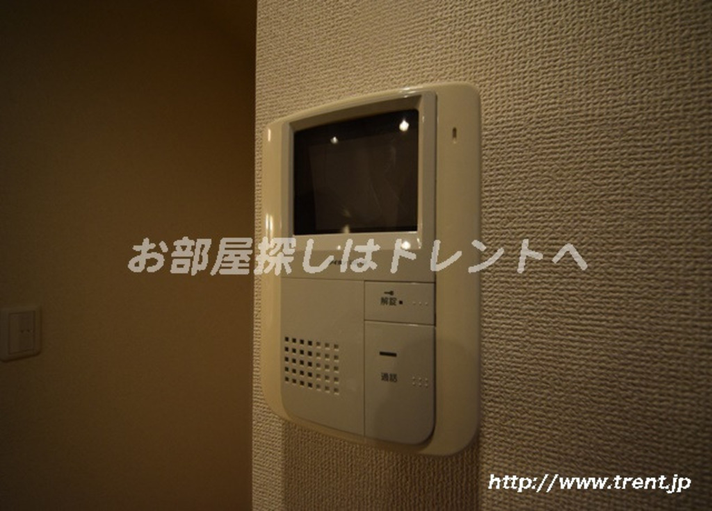 ワイゼア-202