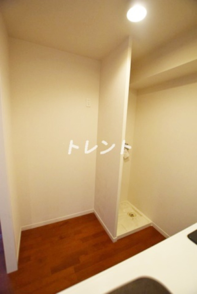 パレスサイドステージホームズ麹町-202