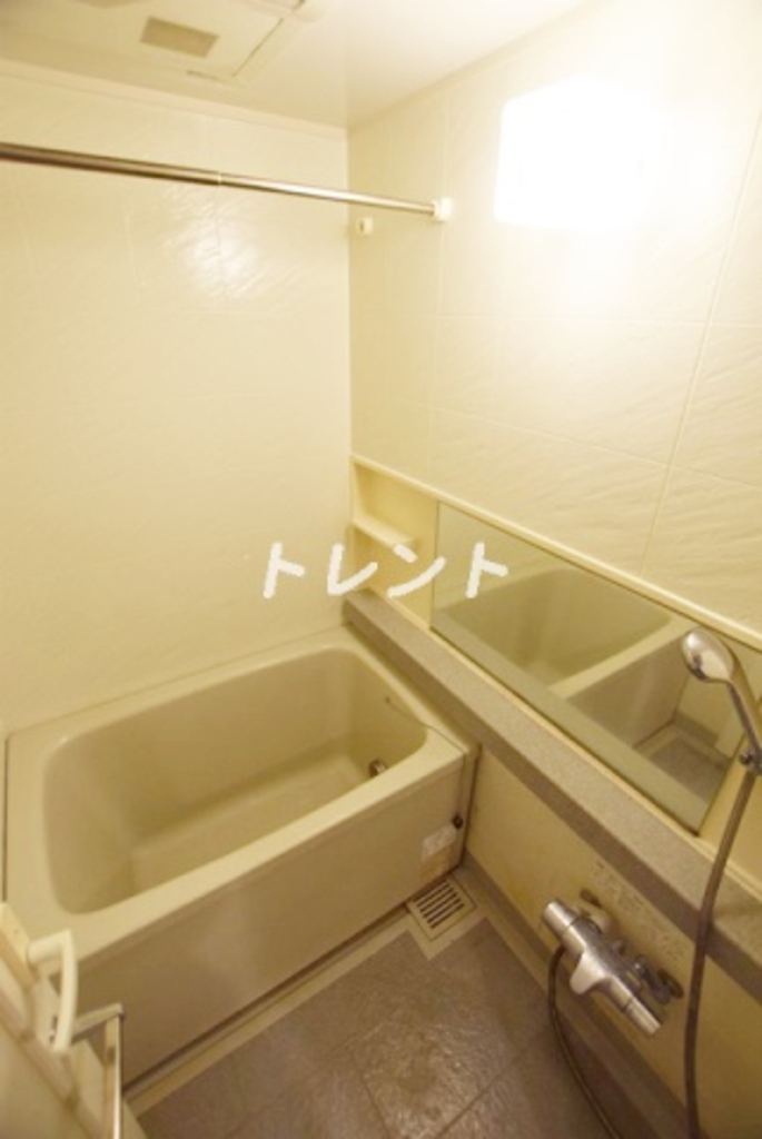 パレスサイドステージホームズ麹町-202