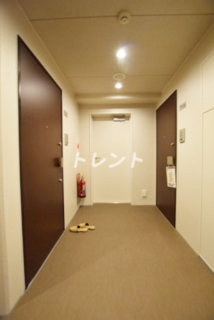 ラヴィラント御茶ノ水-1202