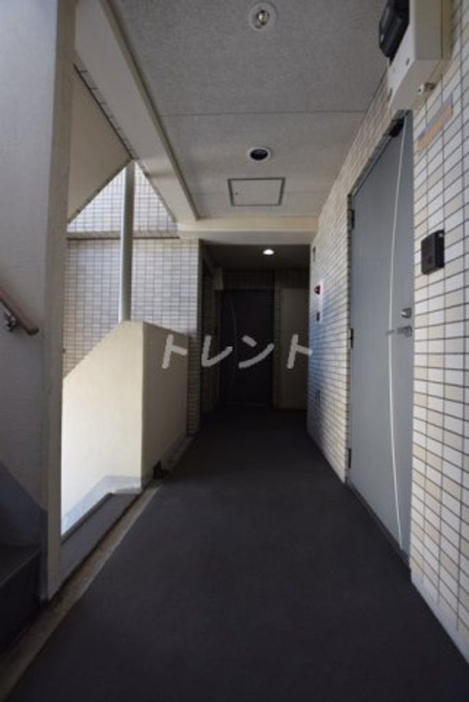 ベルファース早稲田-1003