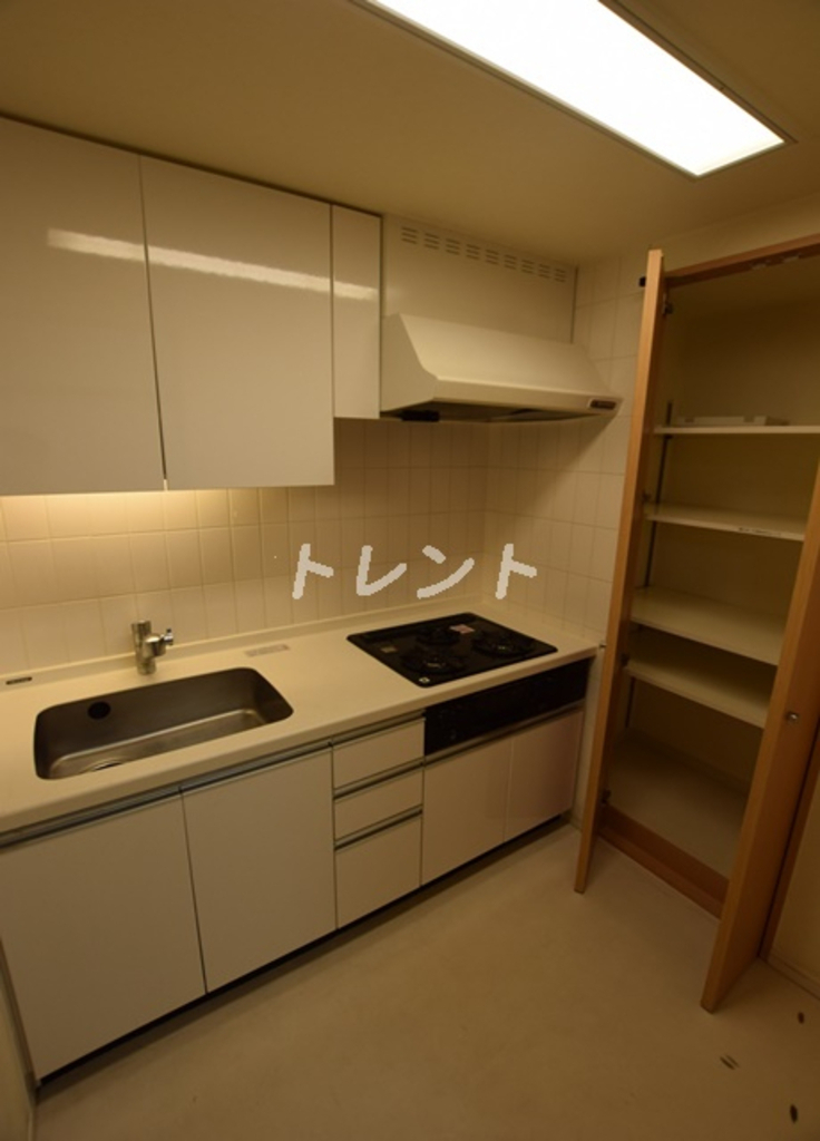 ソルクレスト御茶ノ水-905