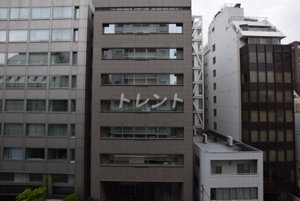エルスタンザ平河町-602