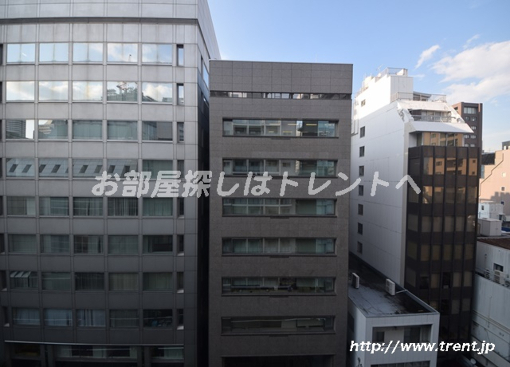 エルスタンザ平河町-703