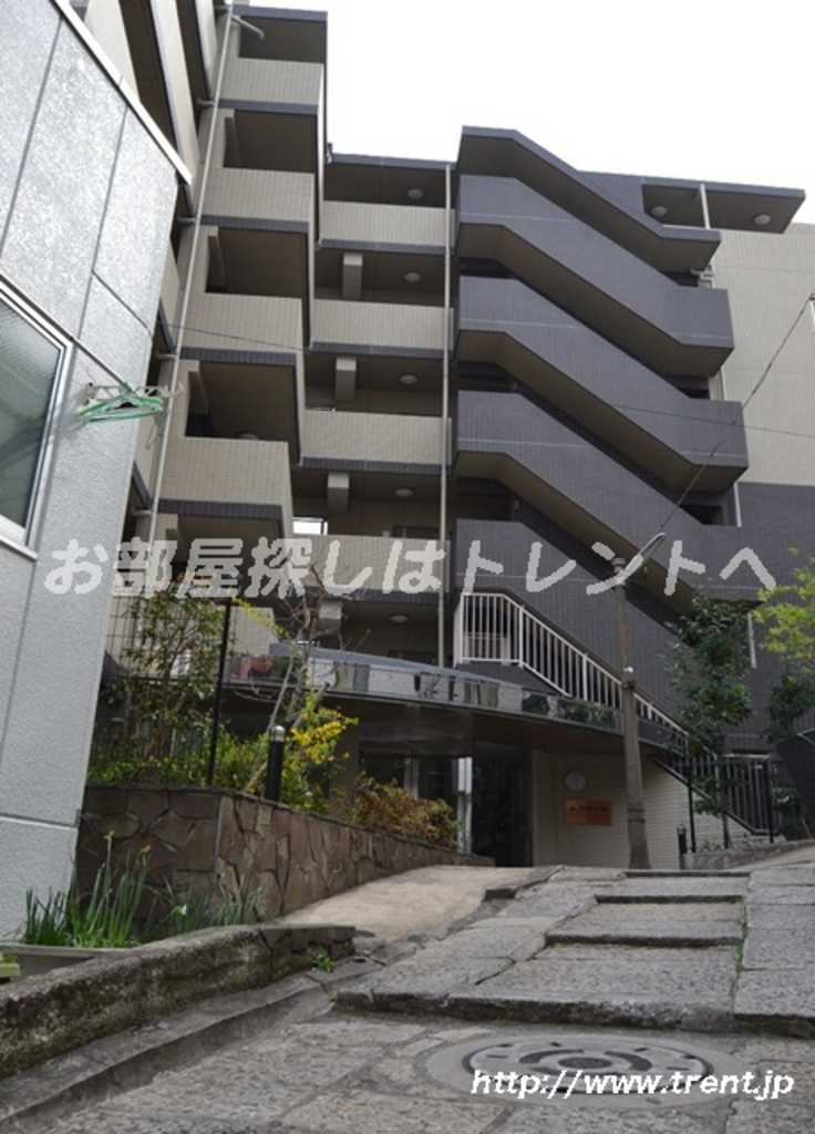 レナトゥス四谷-307