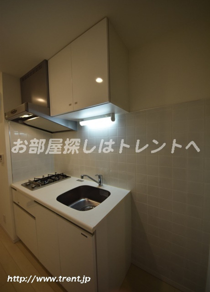 ステージグランデ文京白山-305