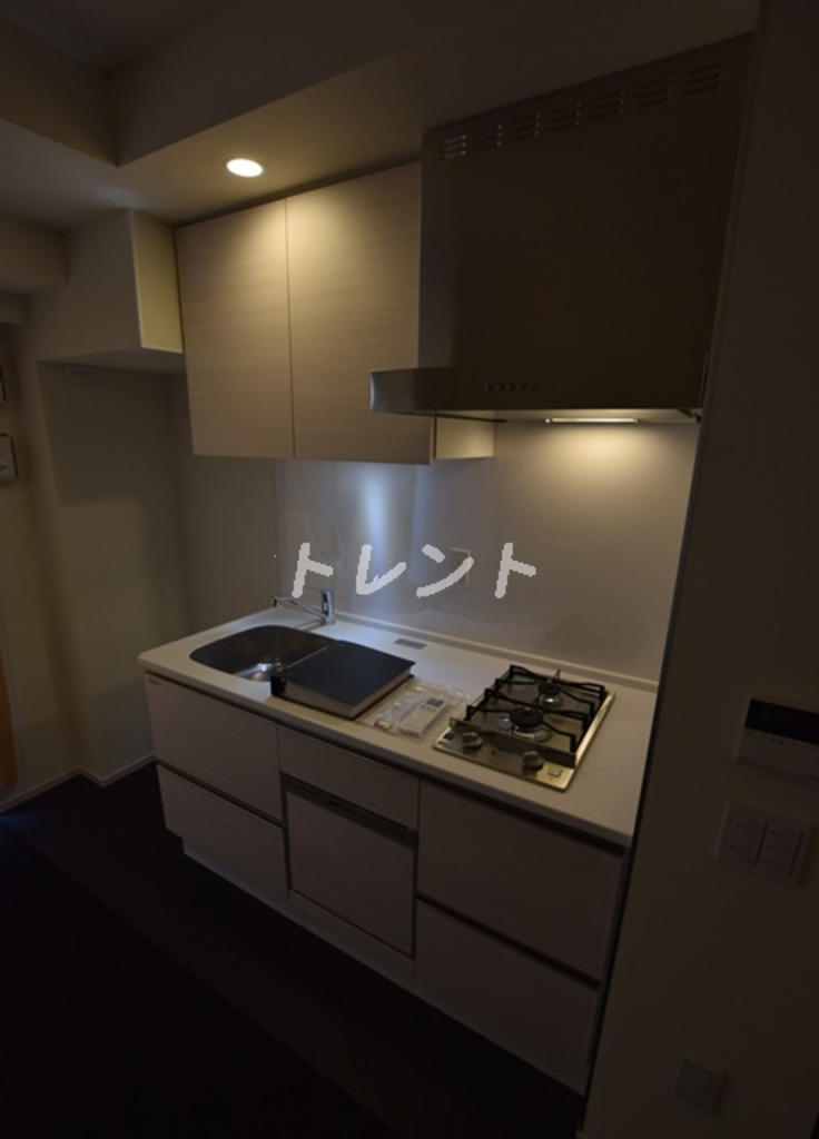 飯田橋ガーデンフラッツ-309