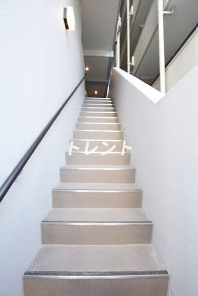 アッパーフィールドウッド【UPPER FIELD WOOD】-301