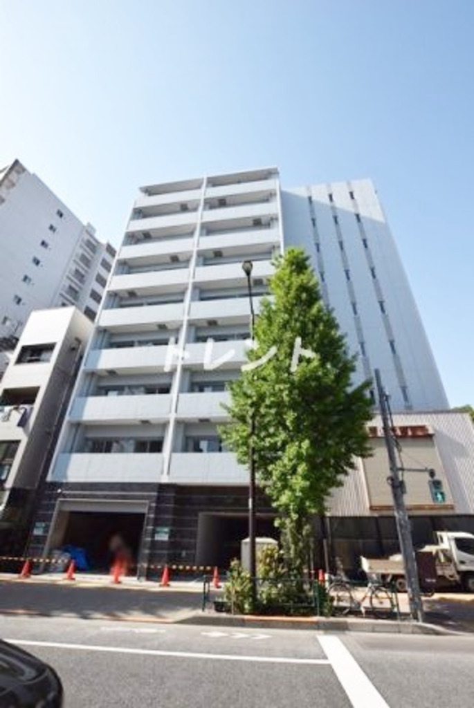 アッパーフィールドウッド【UPPER FIELD WOOD】-301