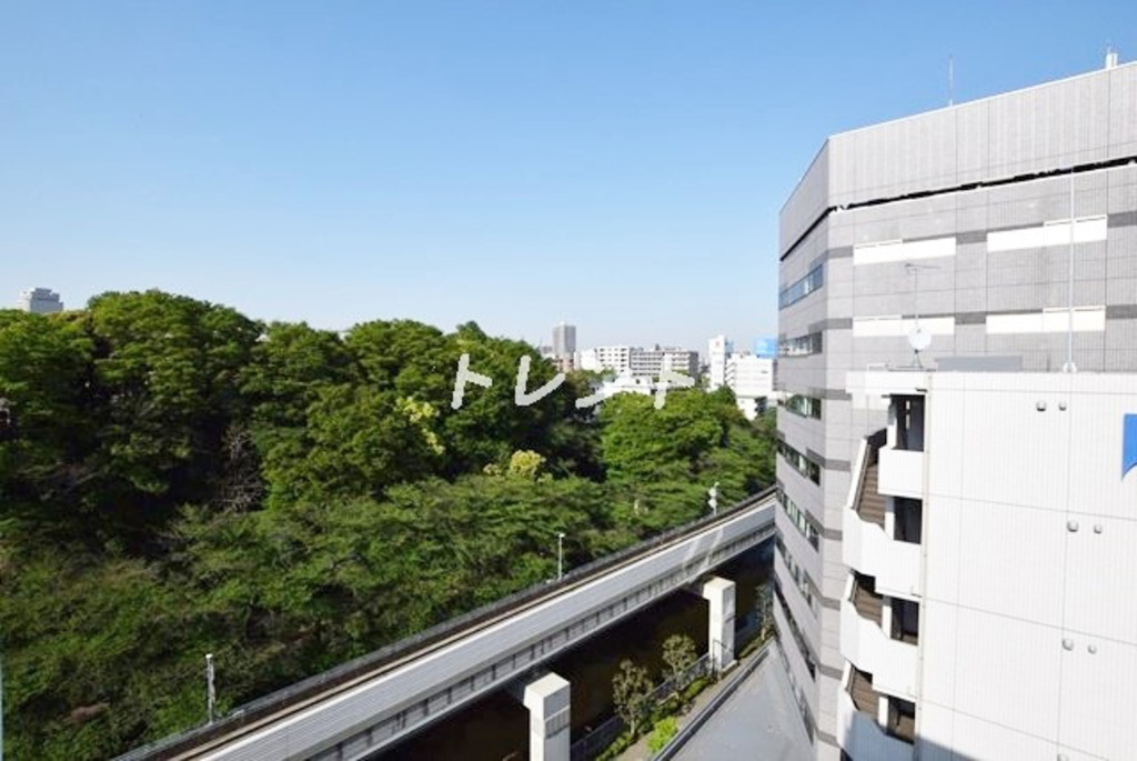 アッパーフィールドウッド【UPPER FIELD WOOD】-301