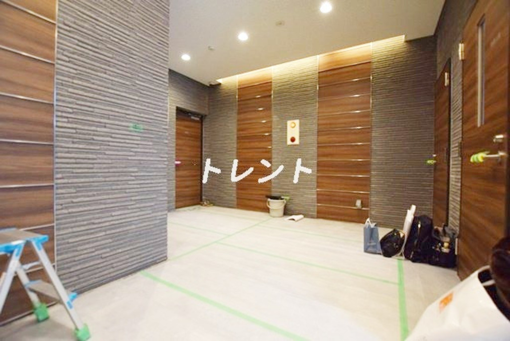 アッパーフィールドウッド【UPPER FIELD WOOD】-301