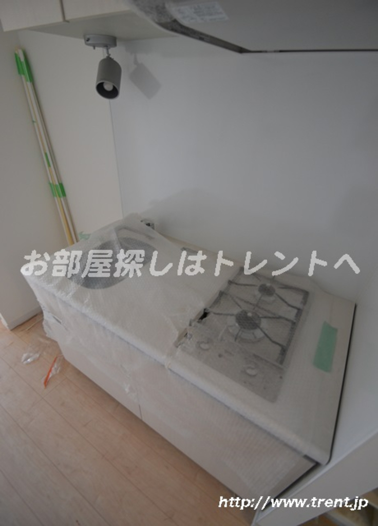 プレールドゥーク新大久保Ⅱ-204