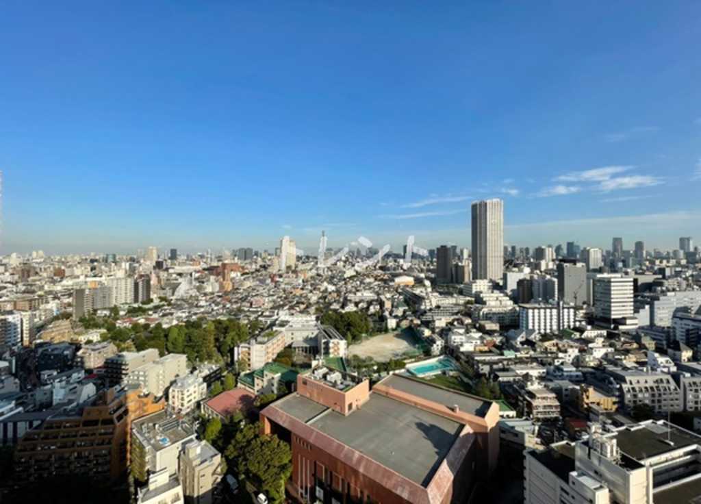 コンフォリア新宿イーストサイドタワー-502