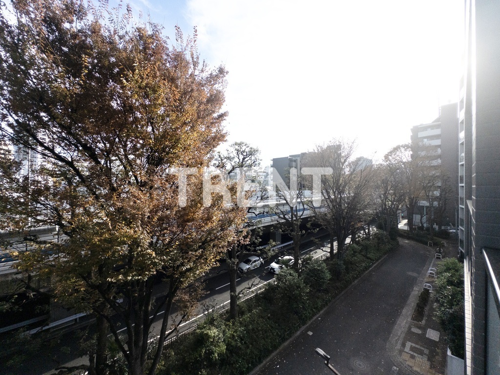 パークヴィラ恵比寿-802
