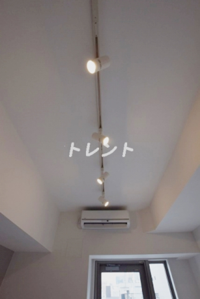 ザパークワンズ神田-702