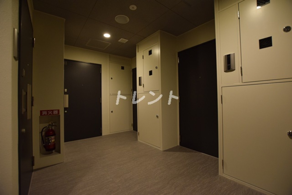 ケイブユシマ【CAVEYUSHIMA】-1405