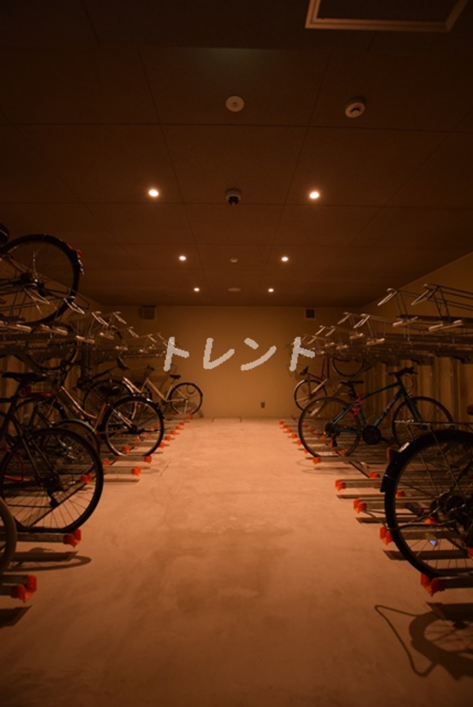 ケイブユシマ【CAVEYUSHIMA】-1405
