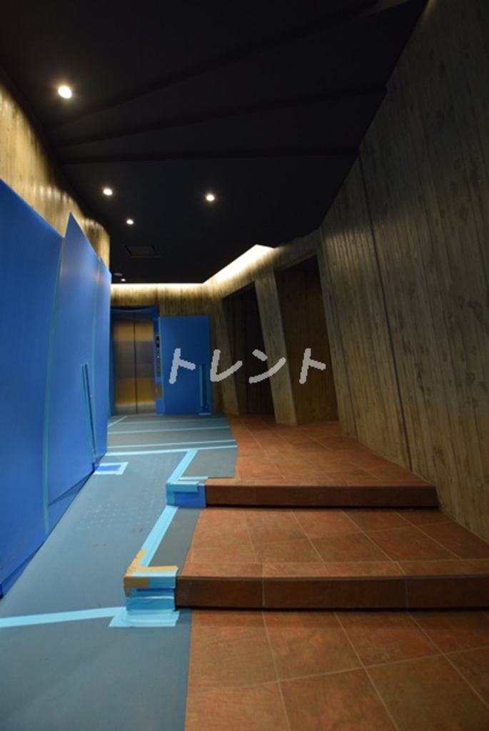 ケイブユシマ【CAVEYUSHIMA】-1405