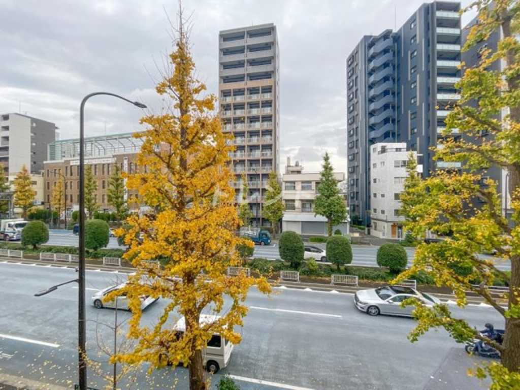 エルスタンザ文京白山-402