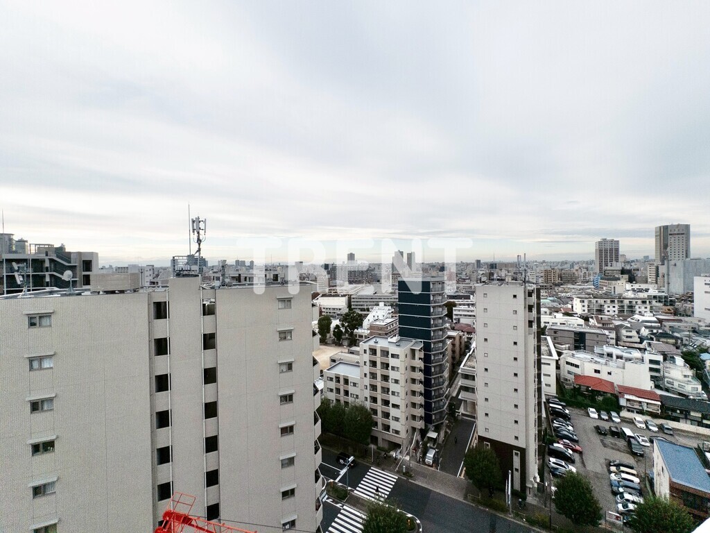 プリマステラ-1403