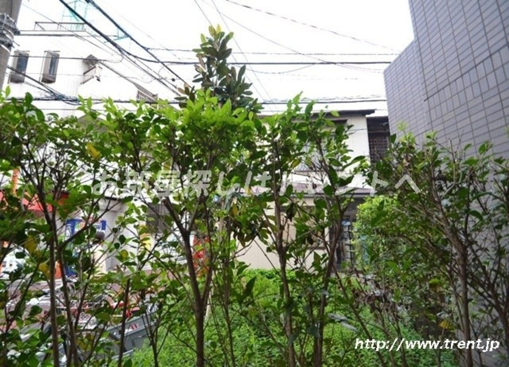 ルーブル中野坂上参番館-406