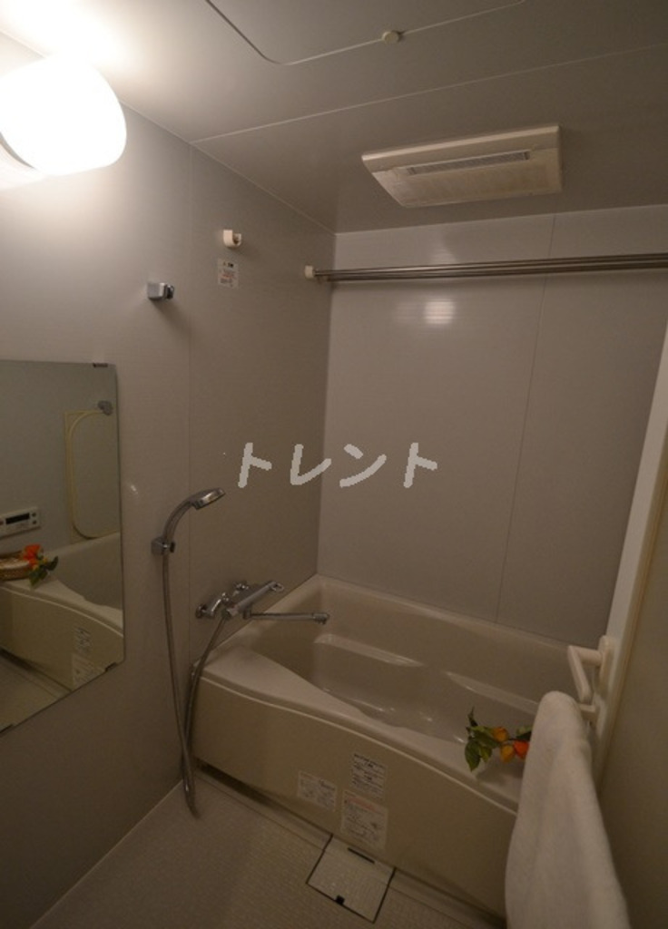 エスティメゾン中野富士見町-102