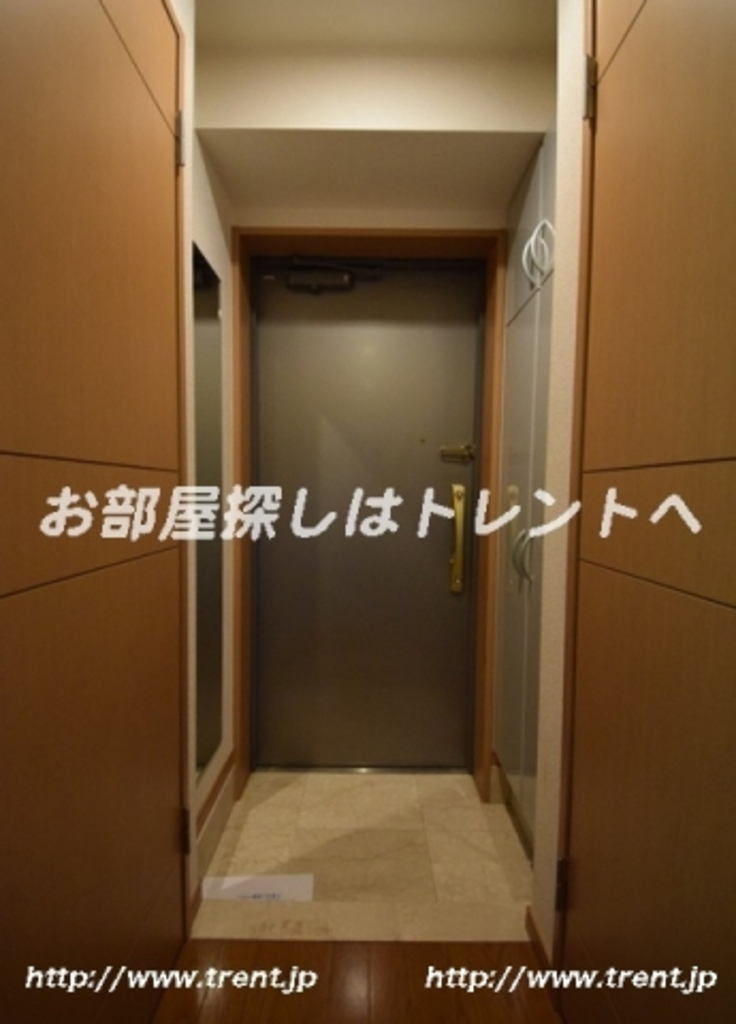 パレステュディオ早稲田-311