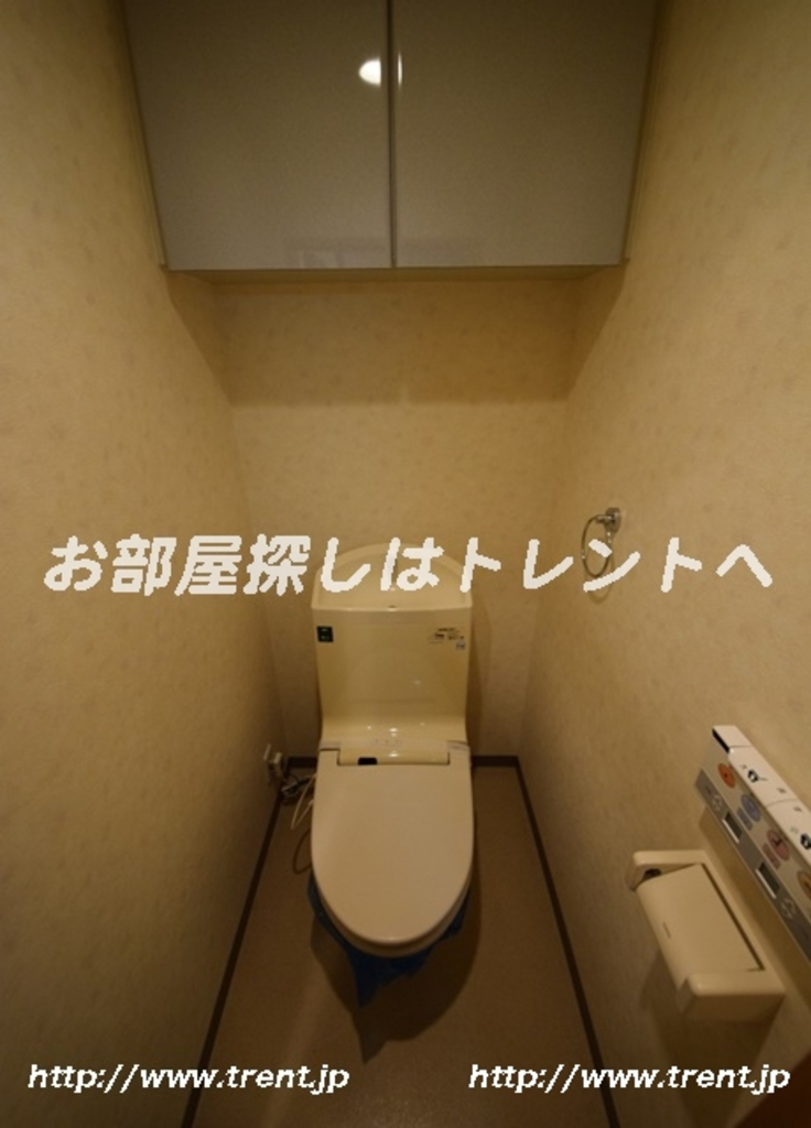 パレステュディオ早稲田-311