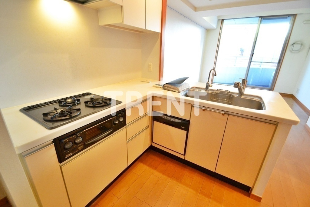 ザパームス代々木上原コスモテラス-303