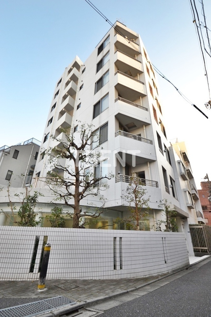 ザパームス代々木上原コスモテラス-303