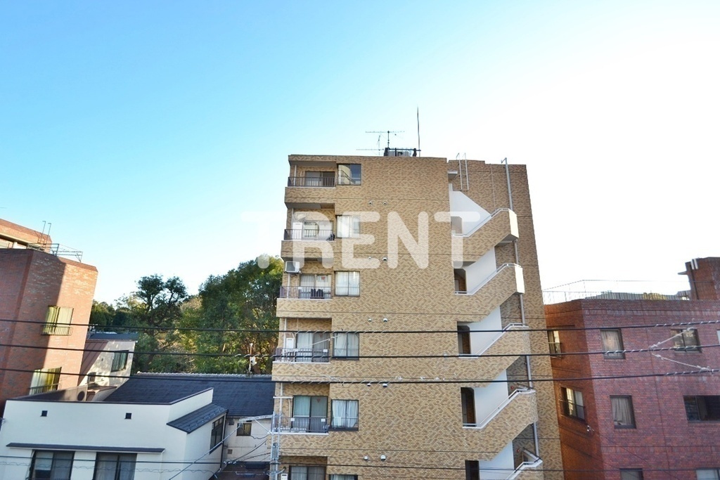 ザパームス代々木上原コスモテラス-303