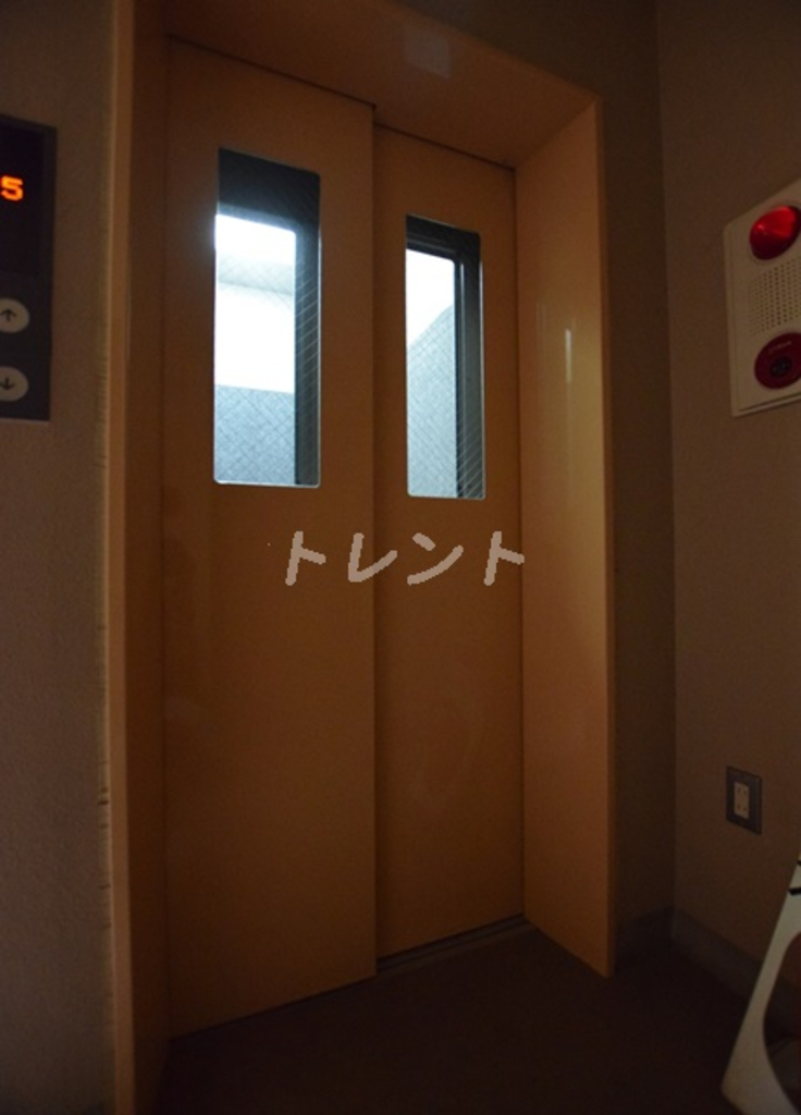 レイローズビル-301