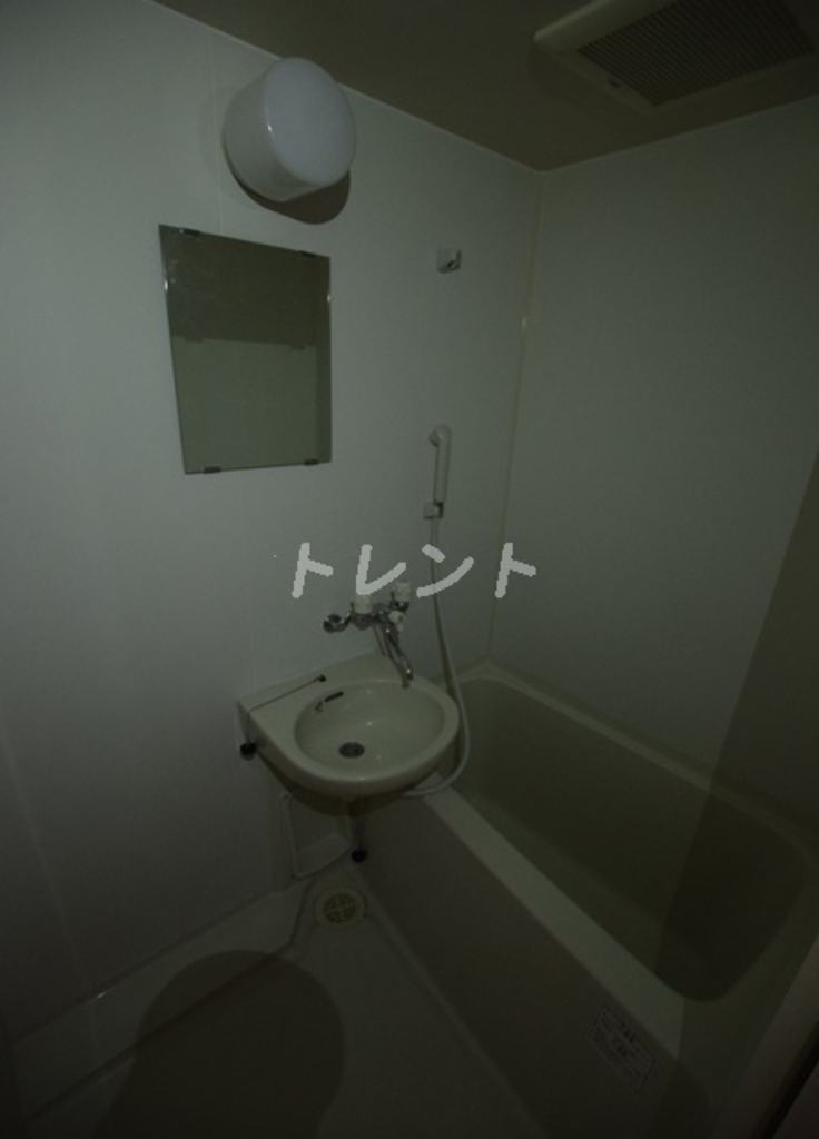 レイローズビル-301