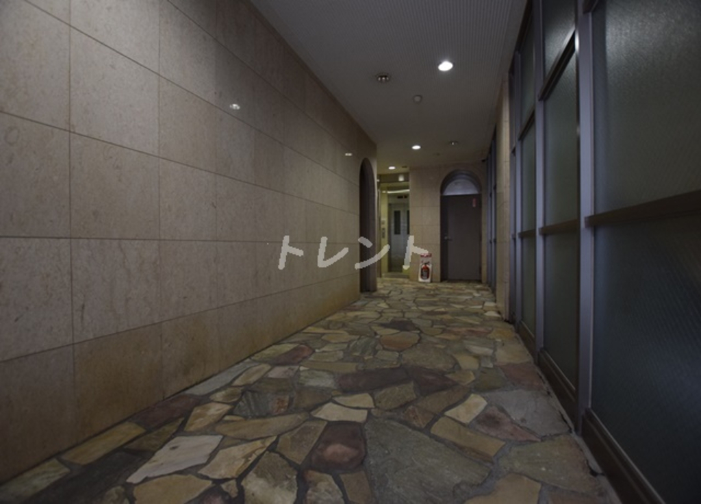 レイローズビル-301