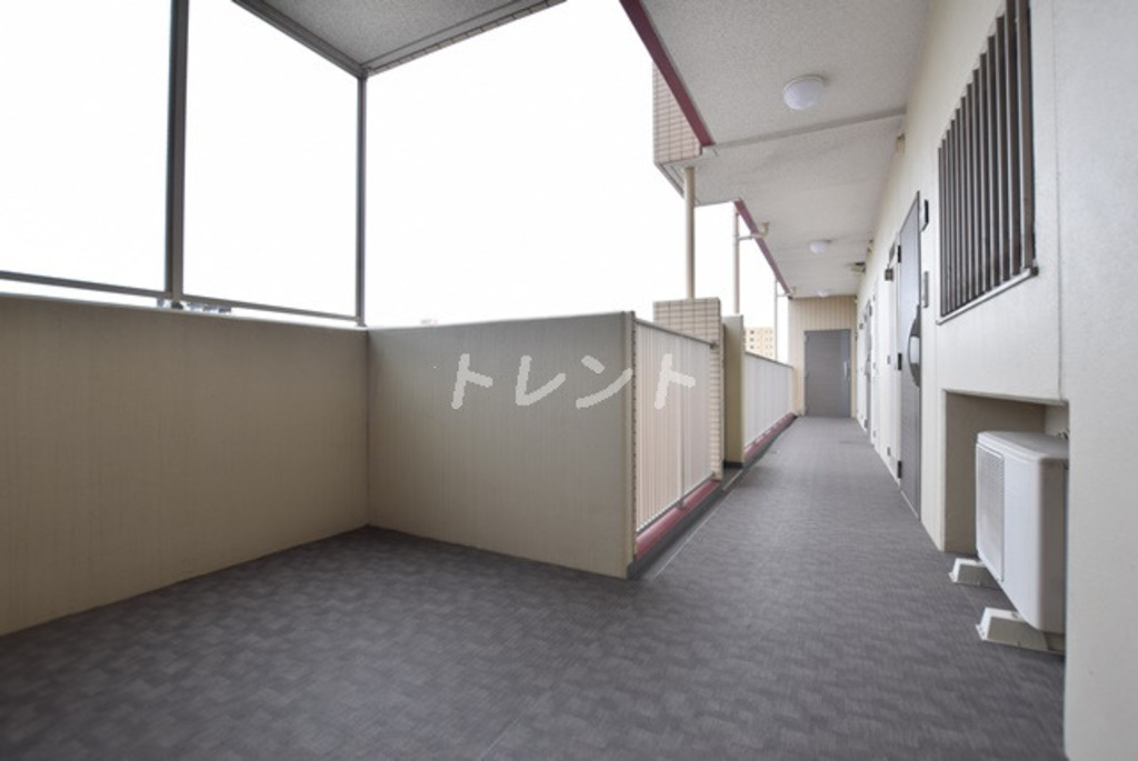 シャルマンミューズ-204