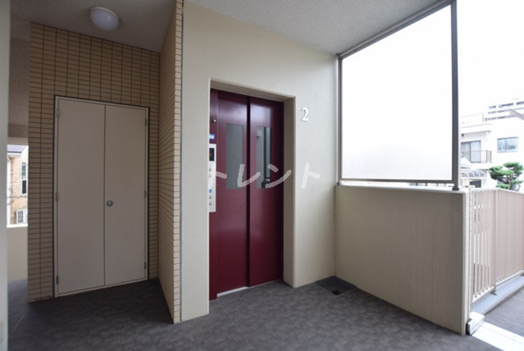 シャルマンミューズ-204