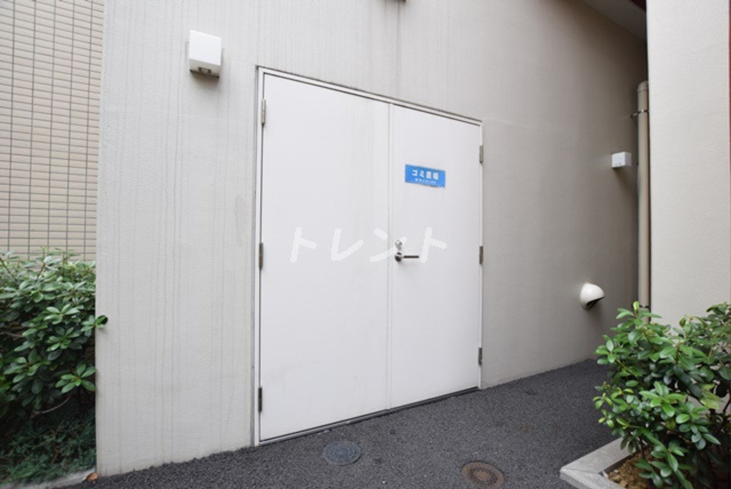 シャルマンミューズ-204