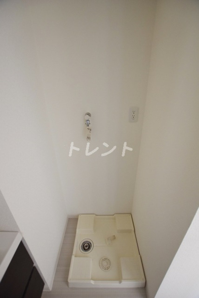 シャルマンミューズ-204