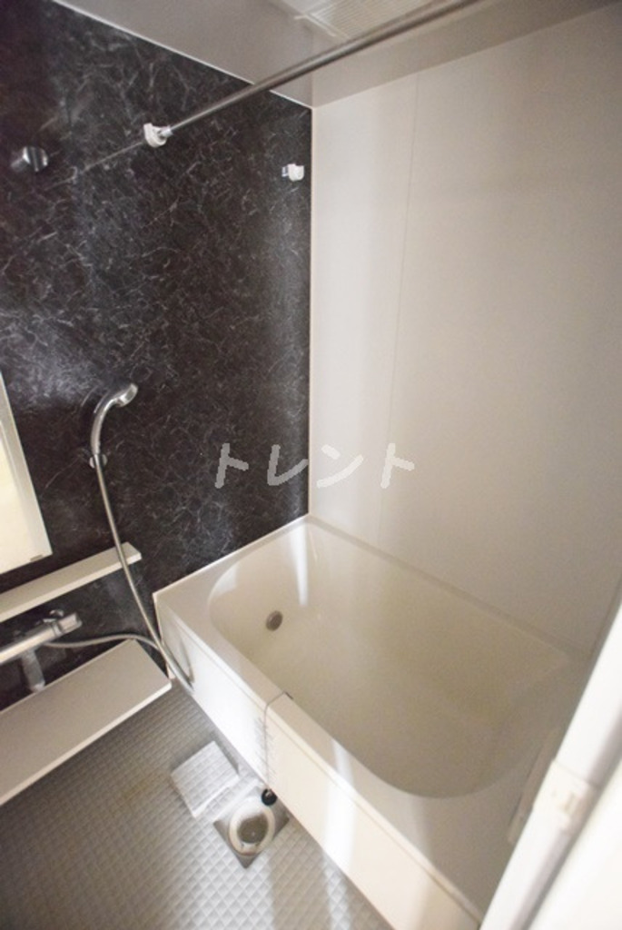 シャルマンミューズ-204