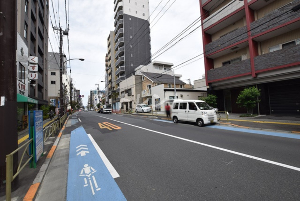 シャルマンミューズ-204