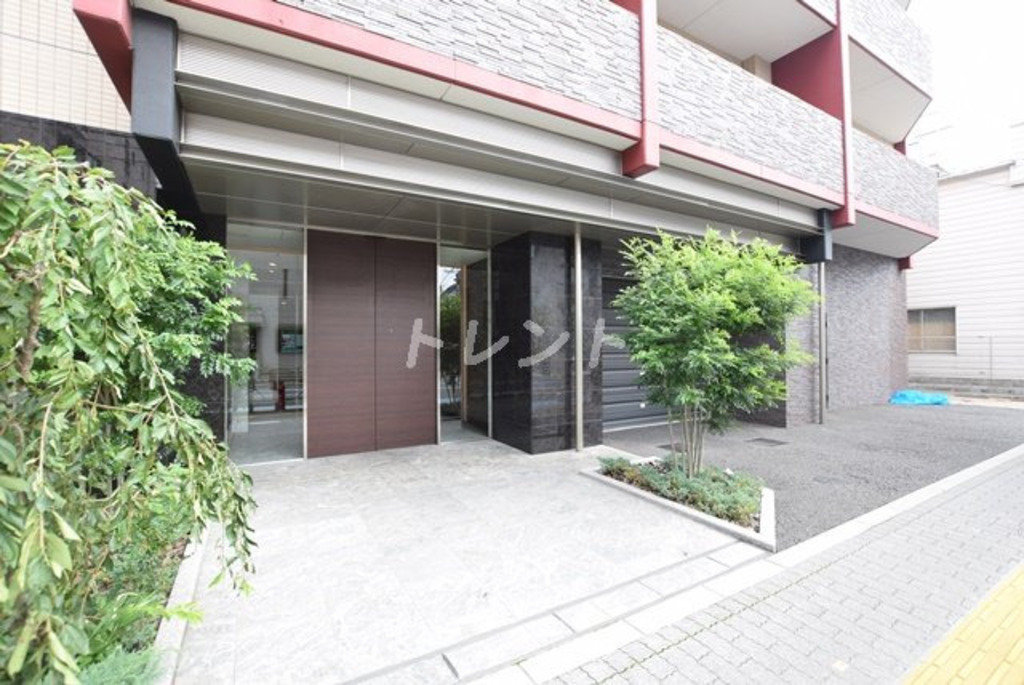 シャルマンミューズ-204