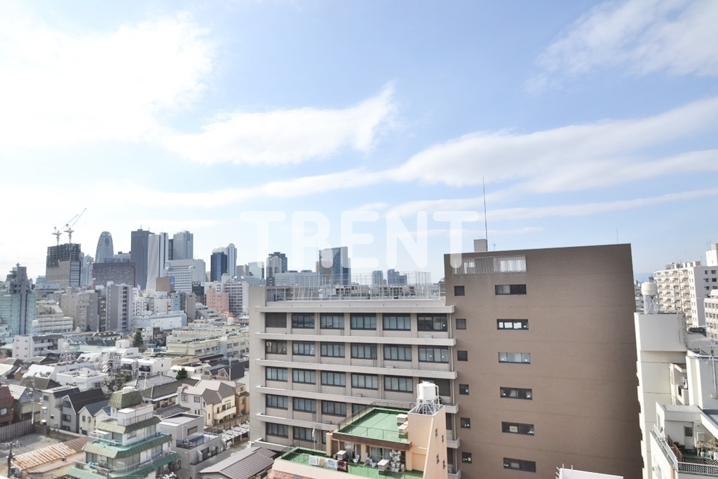 ズーム東新宿-301