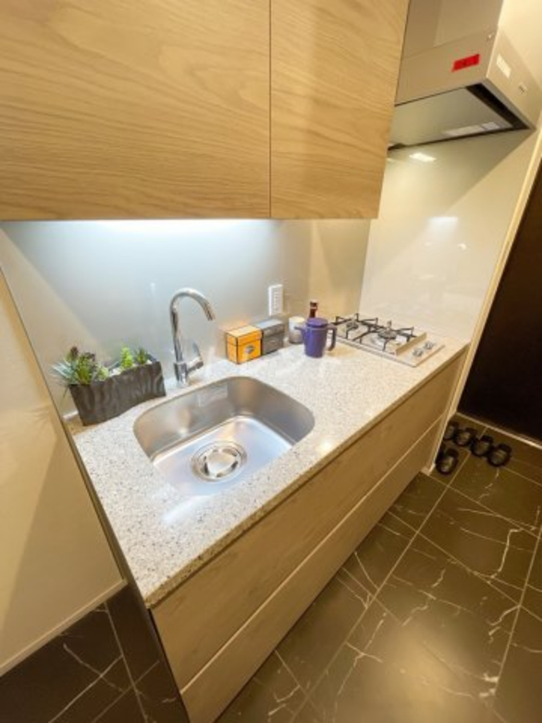 ザパークハビオ小石川-104