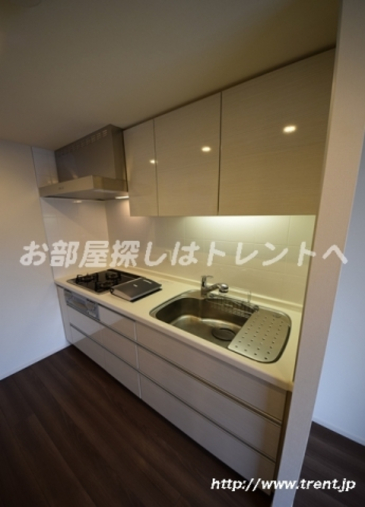 メゾンカルム本郷-602