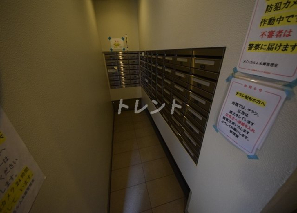 メゾンカルム本郷-501