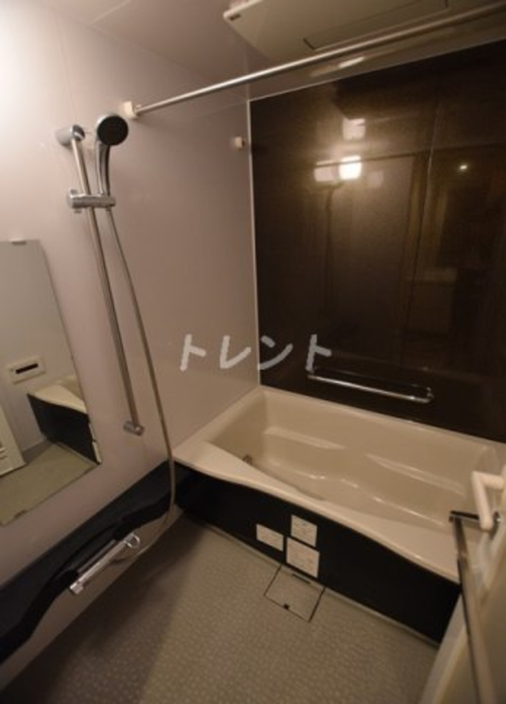 メゾンカルム本郷-501