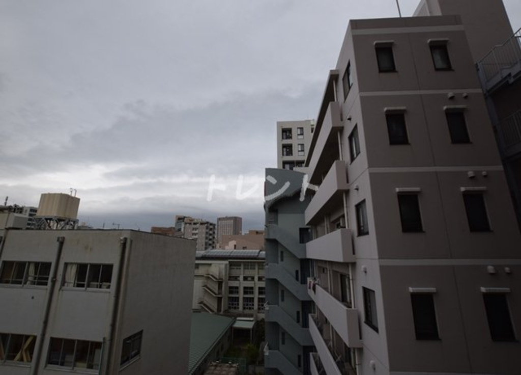 メゾンカルム本郷-501