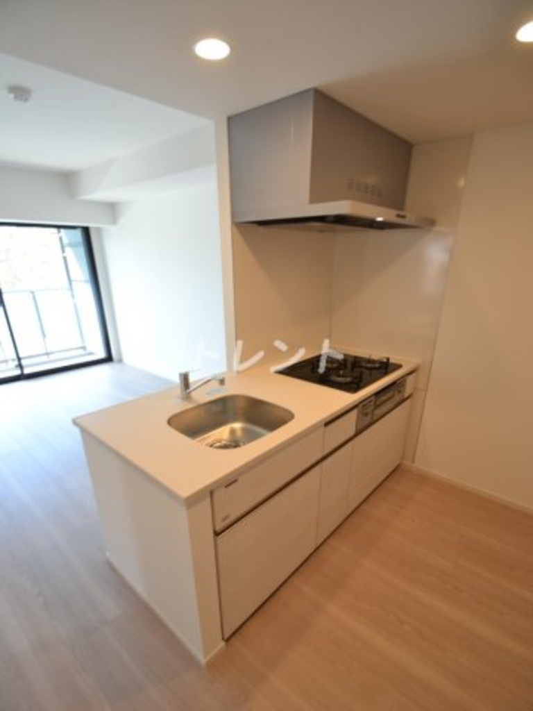 シーズンフラッツ高田馬場リバーサイドノース-302