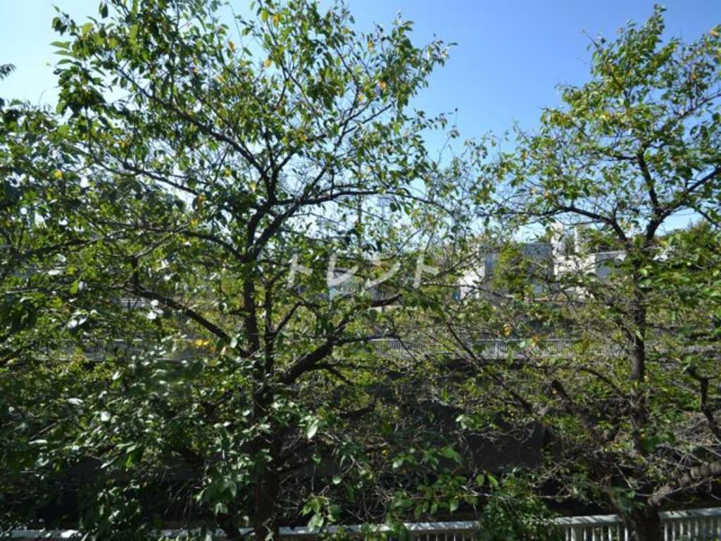 シーズンフラッツ高田馬場リバーサイドノース-302