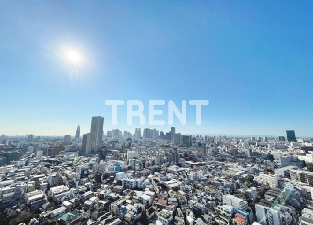 河田町ガーデン1-3009